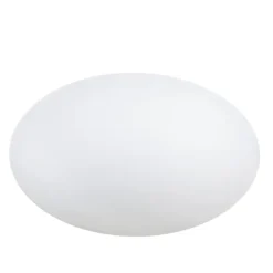 Eggy Pop – 55