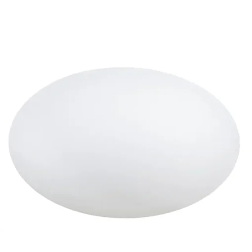 Eggy Pop – 55