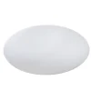 Eggy Pop – 70