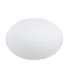 Eggy Pop – Utelampe