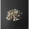 Still Life 04 50 x 70 cm